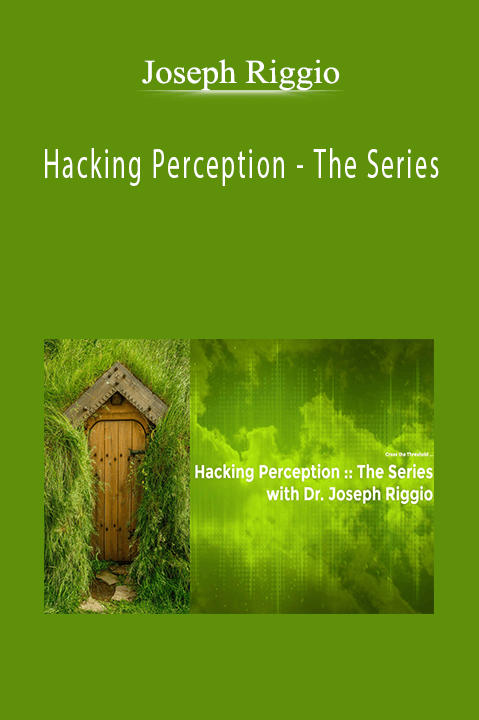 Hacking Perception – The Series – Joseph Riggio