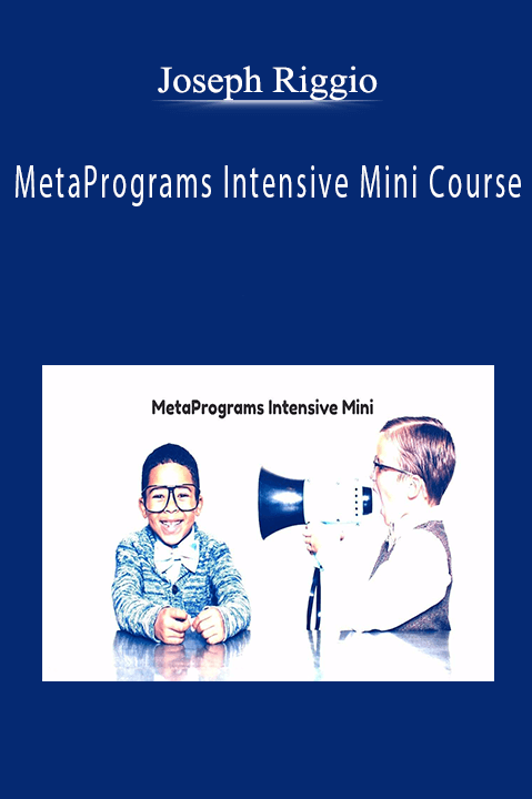 MetaPrograms Intensive Mini Course – Joseph Riggio