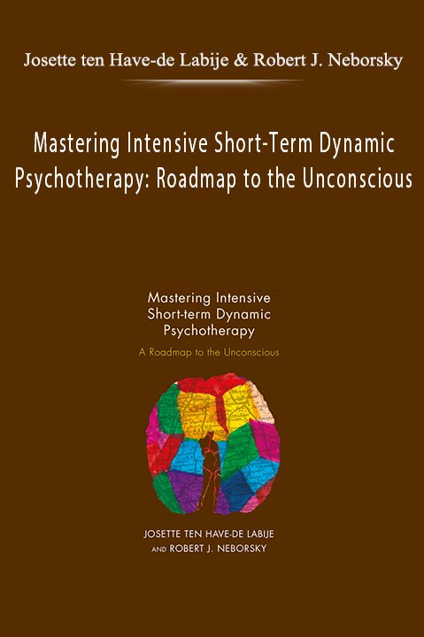 Mastering Intensive Short–Term Dynamic Psychotherapy: Roadmap to the Unconscious – Josette ten Have–de Labije & Robert J. Neborsky