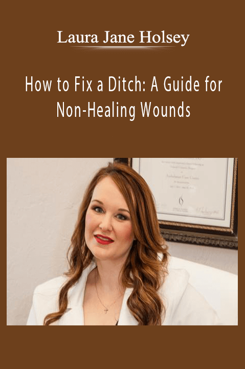 How to Fix a Ditch: A Guide for Non–Healing Wounds – Laura Jane Holsey