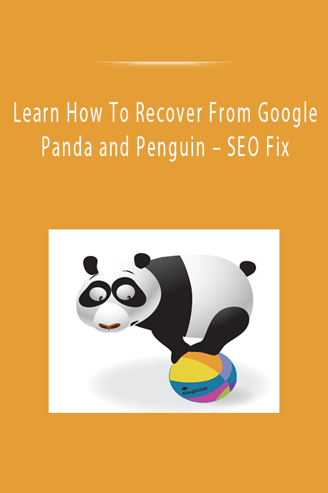 SEO Fix – Learn How To Recover From Google Panda and Penguin