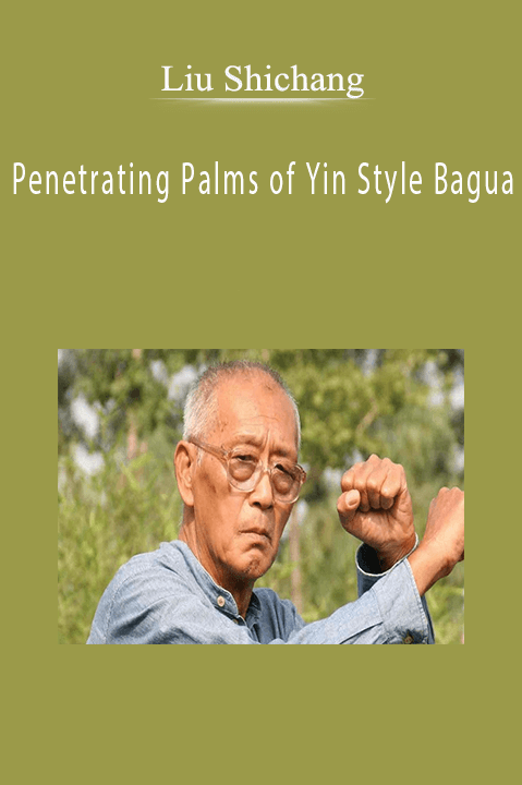 Penetrating Palms of Yin Style Bagua – Liu Shichang