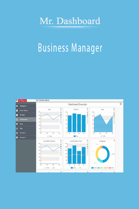 Business Manager – Mr. Dashboard