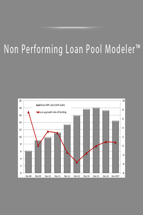 Non Performing Loan Pool Modeler™