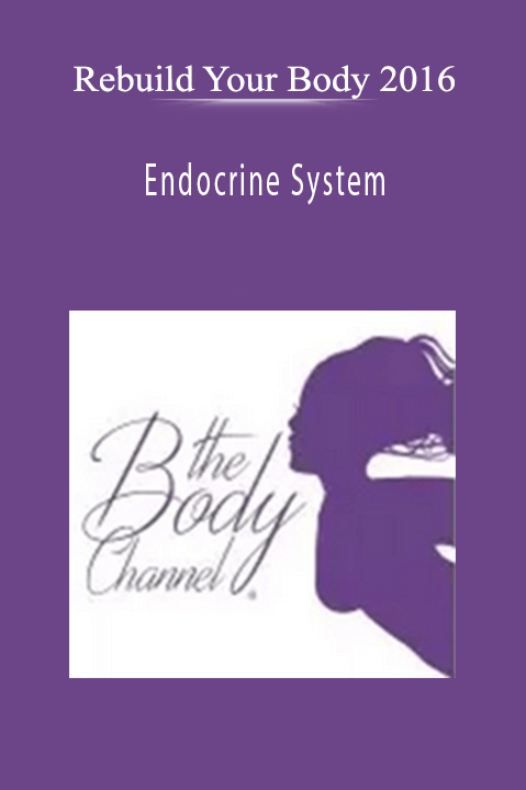 Endocrine System – Rebuild Your Body 2016