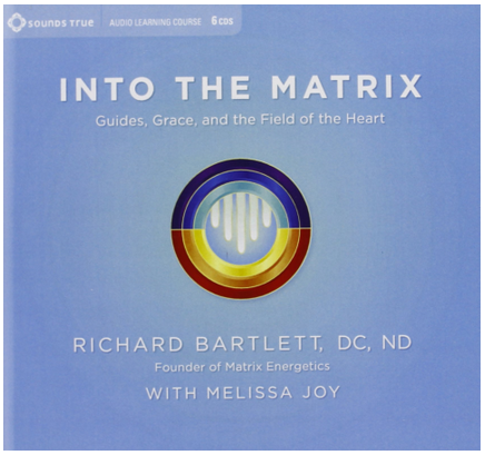 Richard Bartlett, Melissa Joy - INTO THE MATRIX