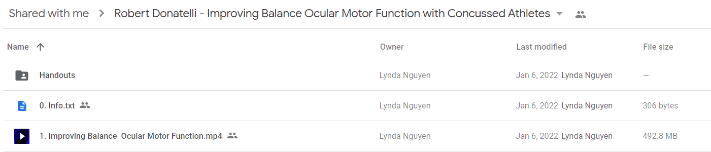 Robert Donatelli - Improving Balance Ocular Motor Function with Concussed Athletes