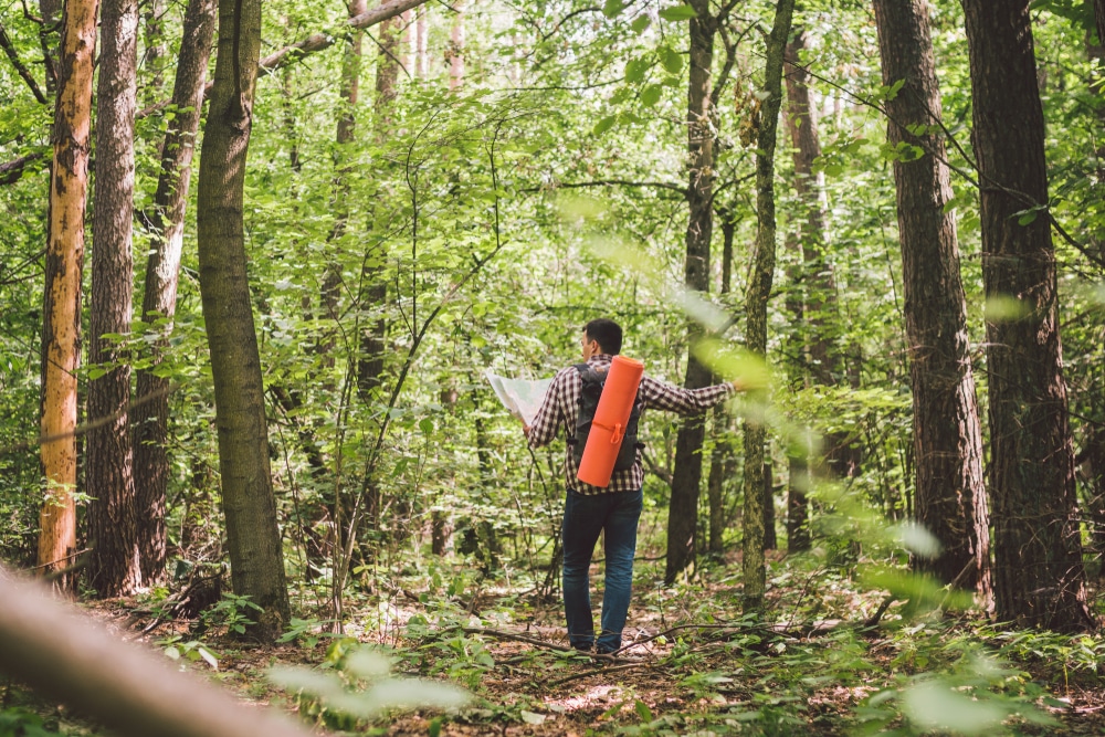 Ron Hood and Karen Hood - Woodsmaster 2: Shelter and Priorities