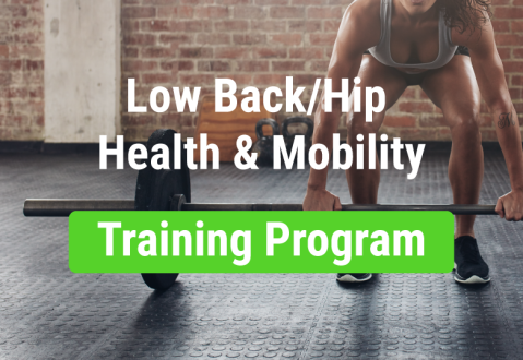 Ryan DeBell - Low Back/Hip Health & Mobility Program