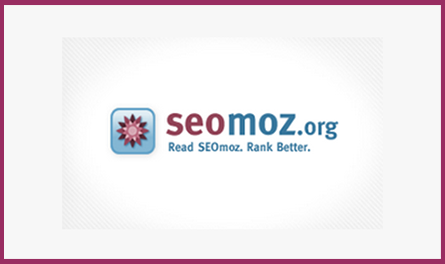 SEOmoz - The Professional’s Guide To Blogging