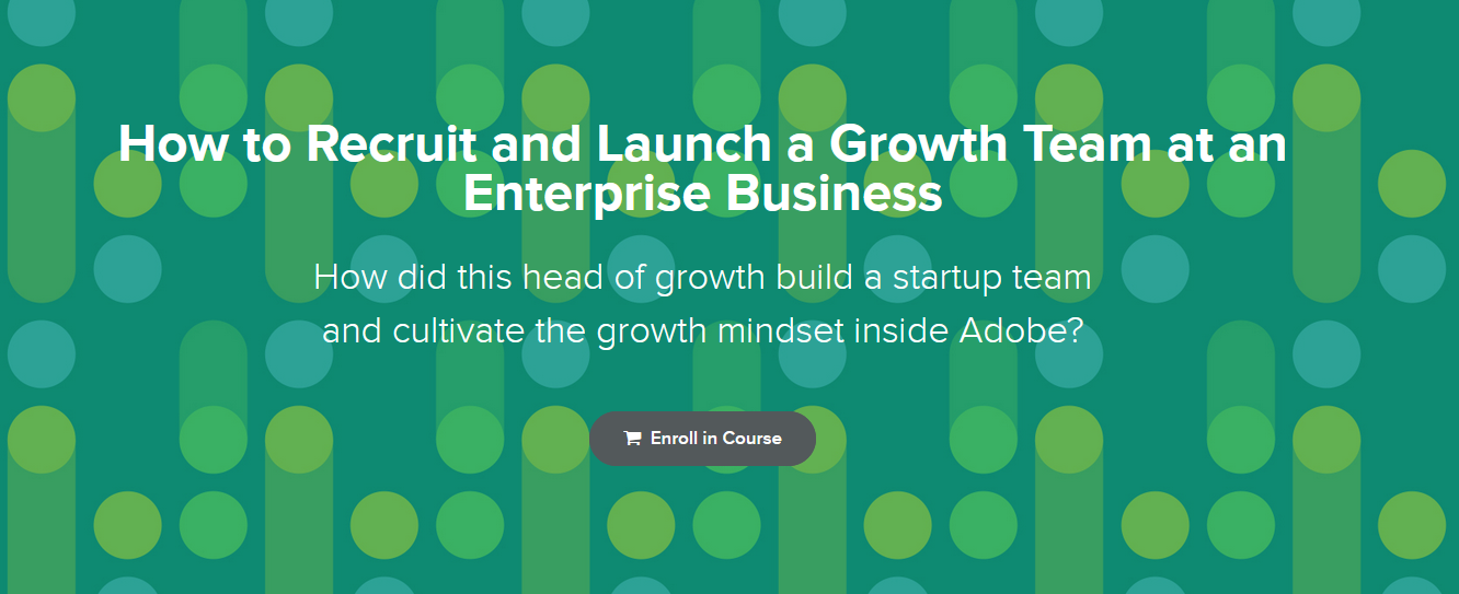 Sean Ellis & Thibault Imbert - How to Recruit and Launch a Growth Team at an Enterprise Business