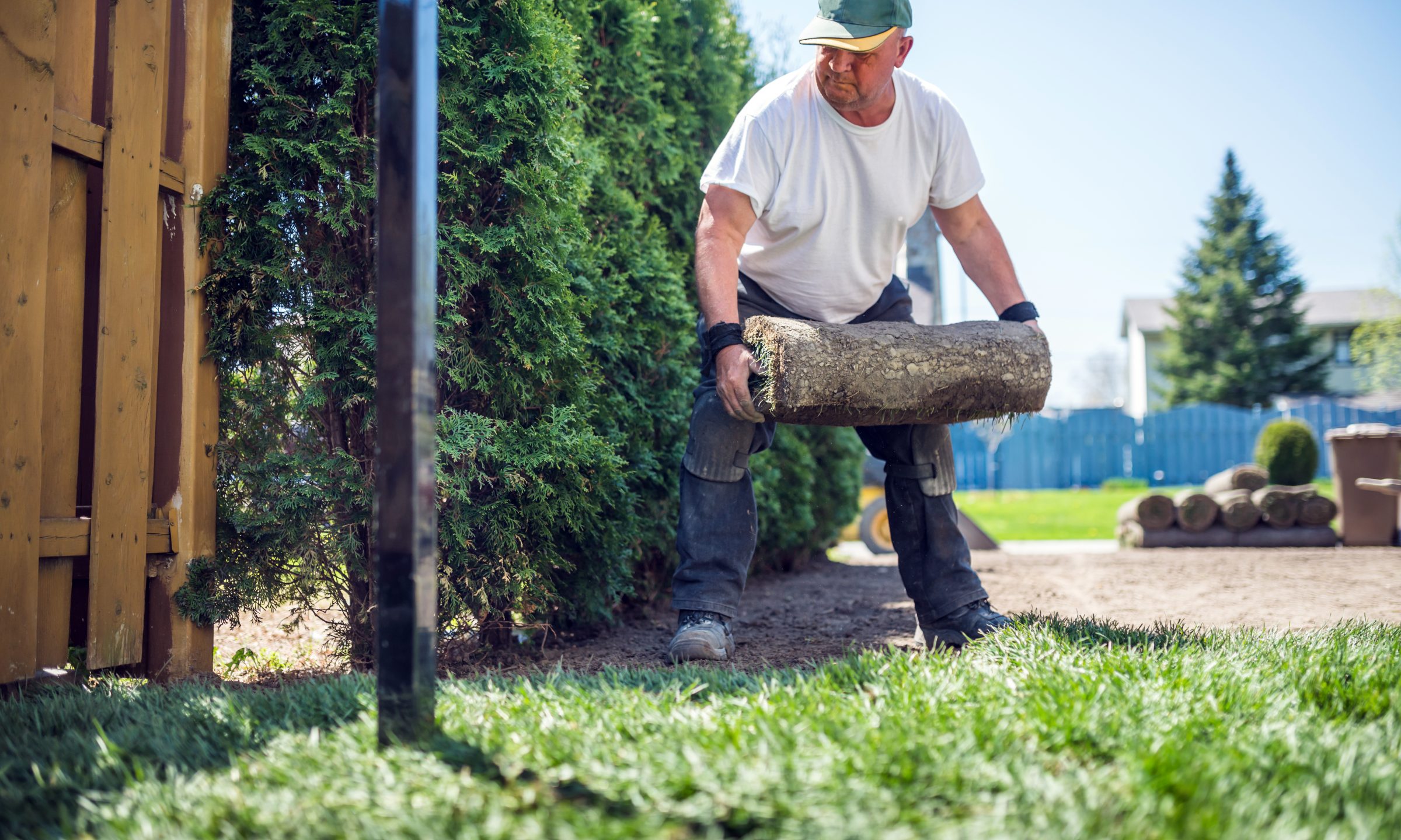 Sean R. Adams - How to Start a Landscaping Biz - The TOTAL Green Industry Biz Package