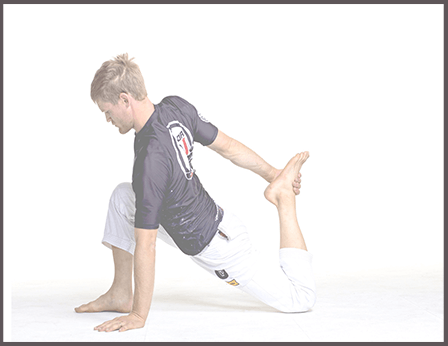 Sebastian - The Yoga for BJJ Instructor Level 2