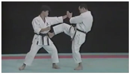 Seiji Nishimura - Best Karate Kkk Techmques