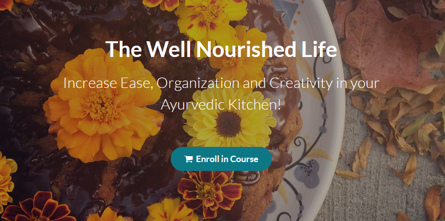 Shankari VanAcker - The Well Nourished Life