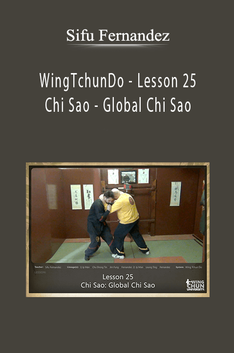 WingTchunDo – Lesson 25 – Chi Sao – Global Chi Sao – Sifu Fernandez