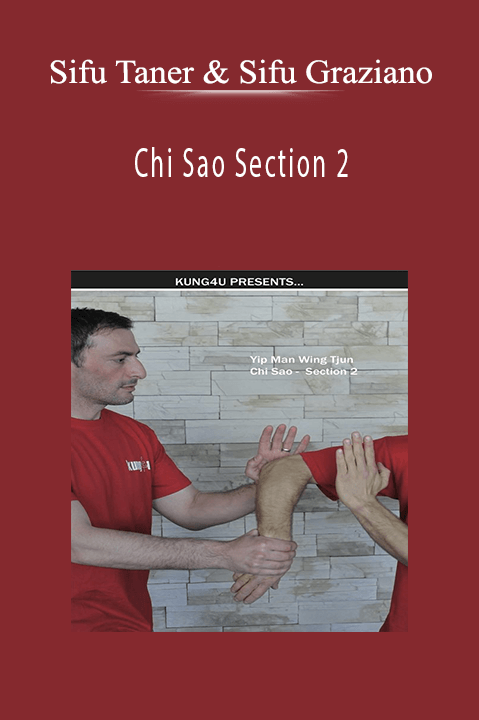 Chi Sao Section 2 – Sifus Taner & Graziano