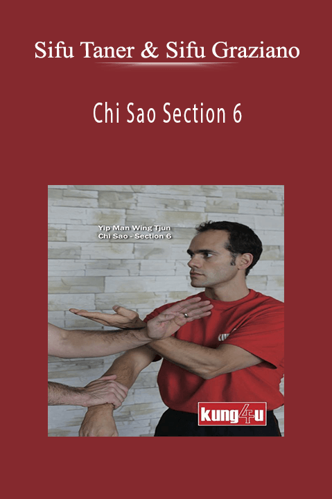 Chi Sao Section 6 – Sifus Taner & Graziano