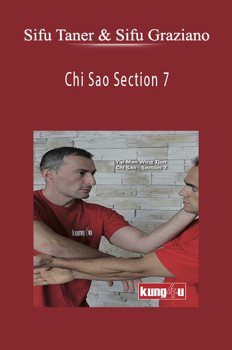 Chi Sao Section 7 – Sifus Taner & Graziano