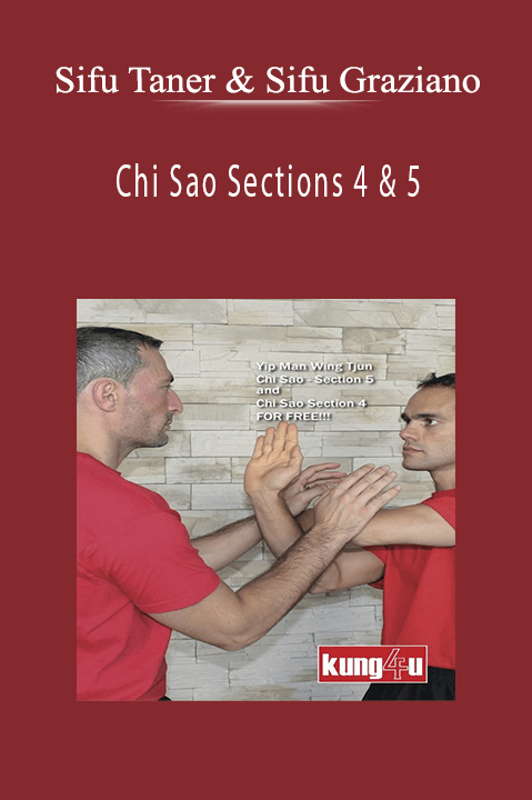 Chi Sao Sections 4 & 5 – Sifus Taner & Graziano