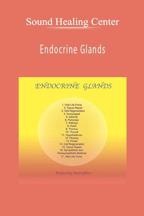 Endocrine Glands – Sound Healing Center