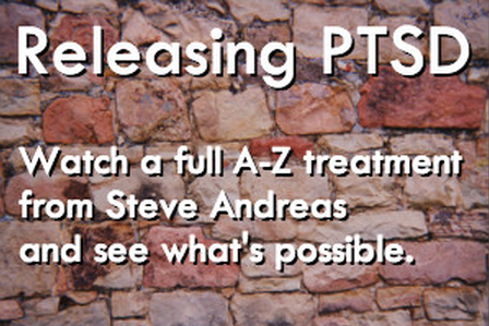 Steve Andreas - Releasing PTSD: The Client Sessions