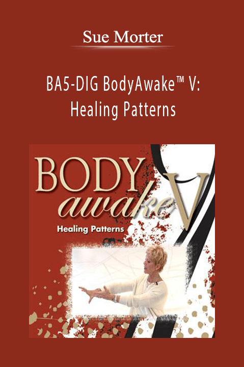 BA5–DIG BodyAwake V: Healing Patterns – Sue Morter