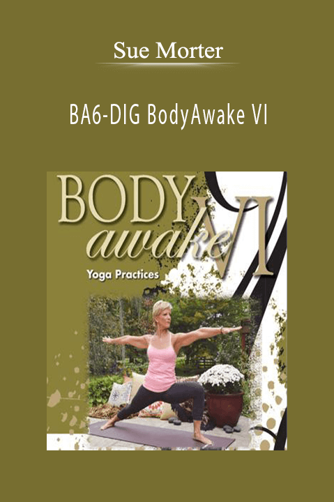 BA6–DIG BodyAwake VI – Sue Morter