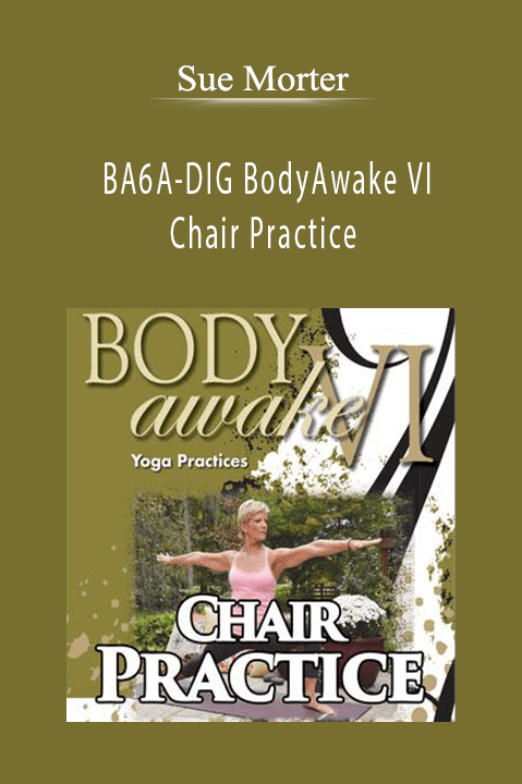 BA6A–DIG BodyAwake VI Chair Practice – Sue Morter