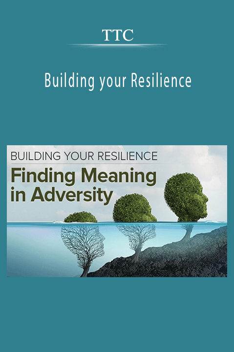 Building your Resilience – TTC