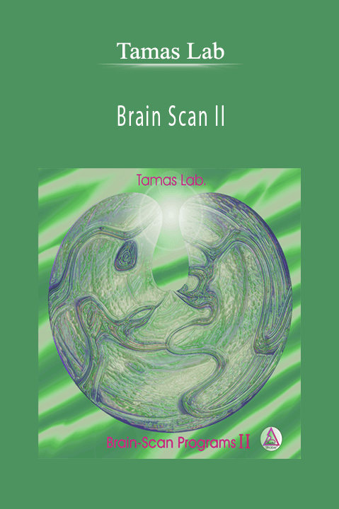 Brain Scan II – Tamas Lab