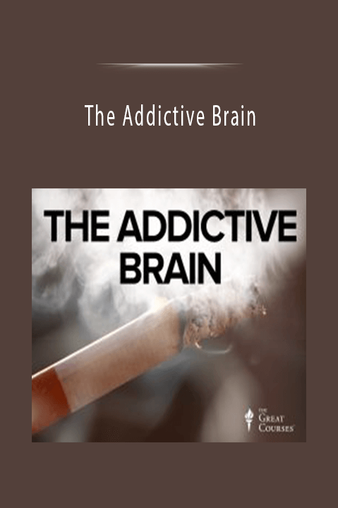 The Addictive Brain