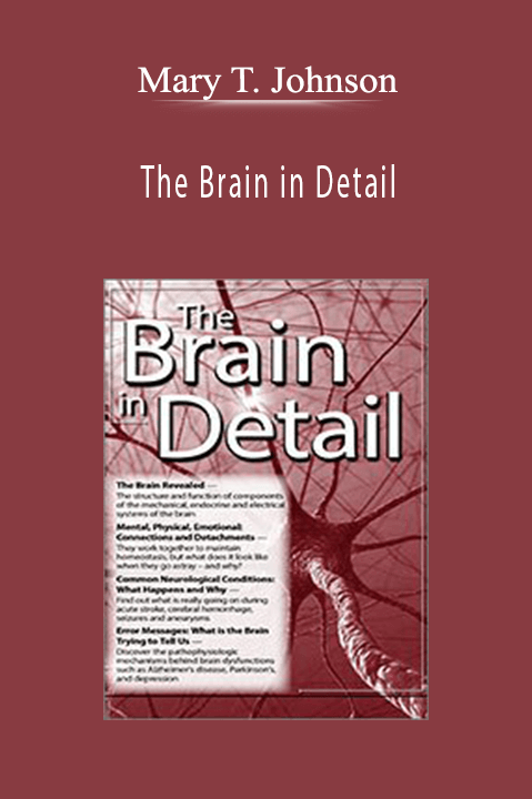 Mary T. Johnson – The Brain in Detail