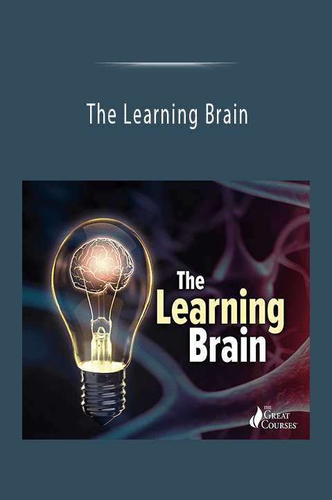 The Learning Brain