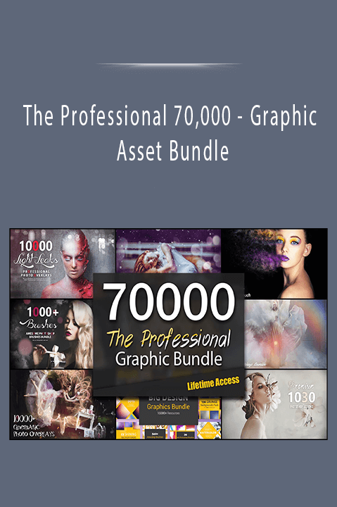 Graphic Asset Bundle – The Professional 70