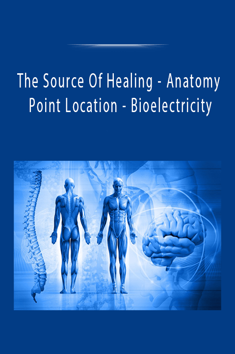 Anatomy – Point Location – Bioelectricity – The Source Of Healing