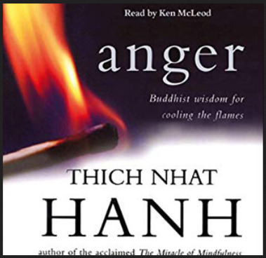 Thich Nhat Hanh - Anger: Wisdom for Cooling the Flames