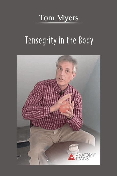 Tensegrity in the Body – Tom Myers