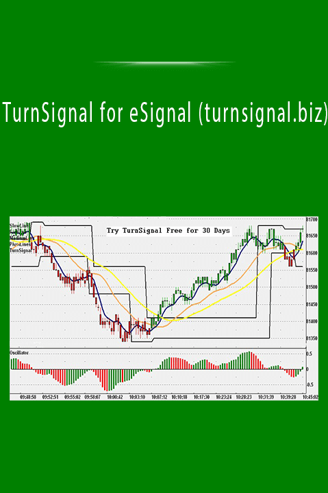 TurnSignal for eSignal (turnsignal.biz)