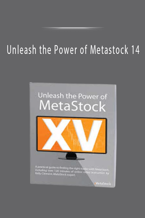 Unleash the Power of Metastock 14