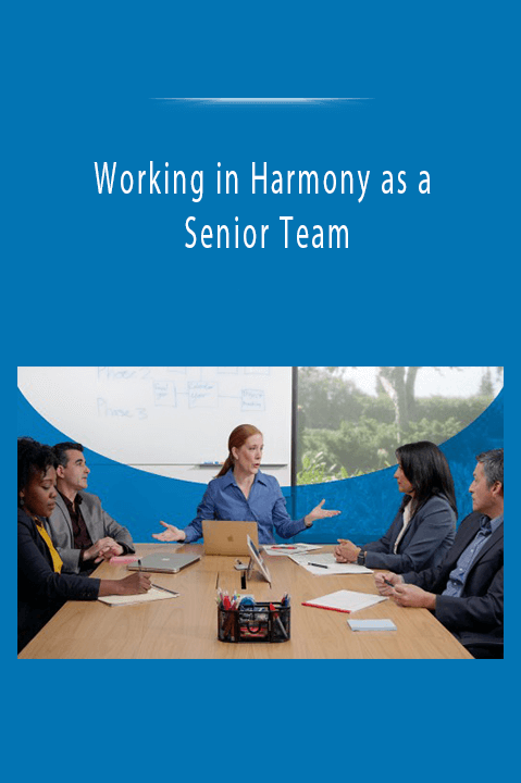 Working in Harmony as a Senior Team