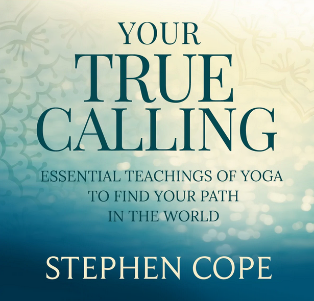 STEPHEN COPE - Your True Calling 