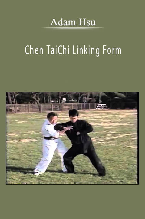 Chen TaiChi Linking Form – Adam Hsu