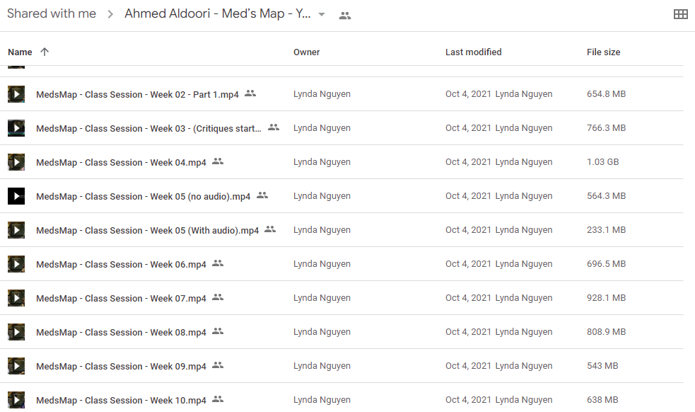 Ahmed Aldoori - Med’s Map - Your Guide to Digital Painting Mastery