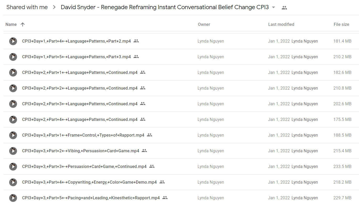 David Snyder - Renegade Reframing Instant Conversational Belief Change CPI3