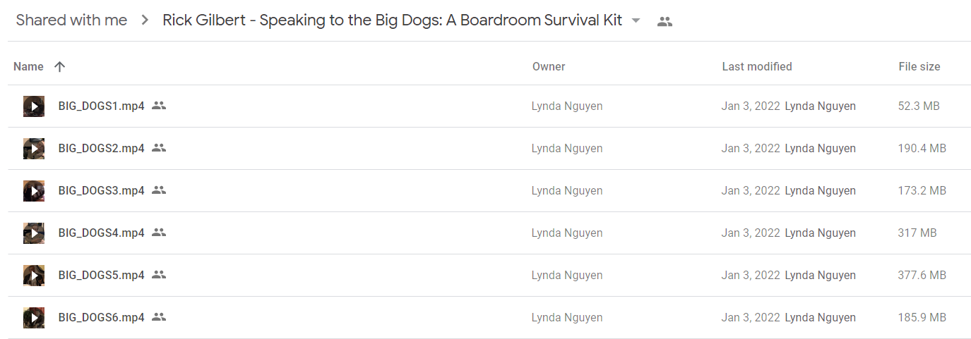 Rick Gilbert - Speaking to the Big Dogs A Boardroom Survival Kit