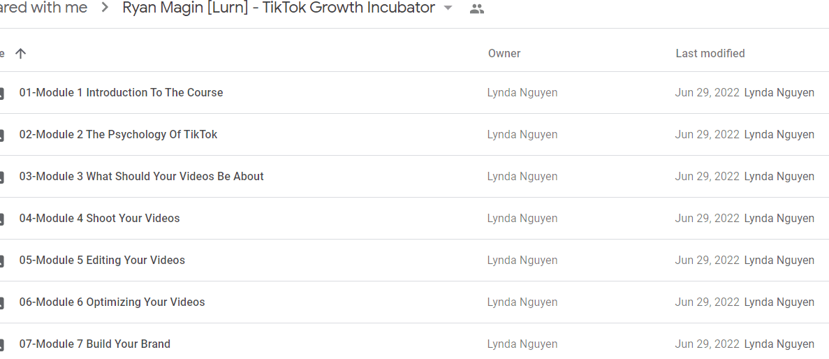 Ryan Magin [Lurn] - TikTok Growth Incubator