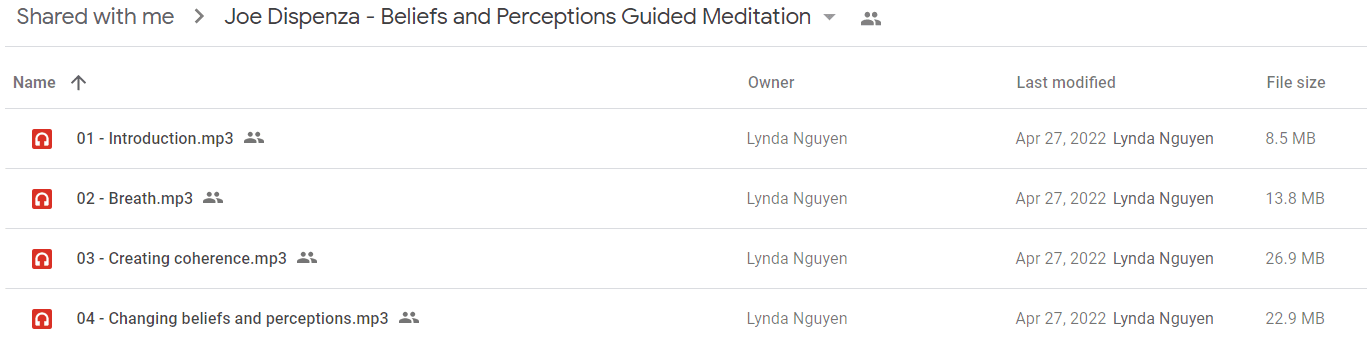 Joe Dispenza - Beliefs and Perceptions Guided Meditation