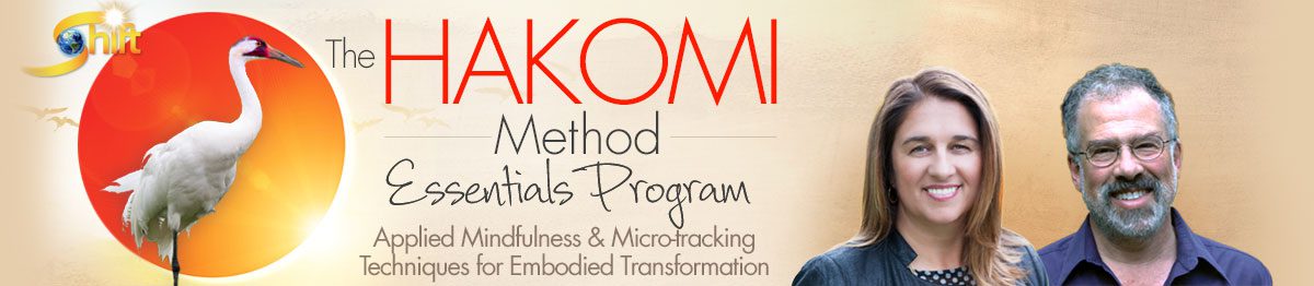 The Hakomi Method Essentials Program Applied Mindfulness & Micre-tracking Teachniques For Embodied Transformation