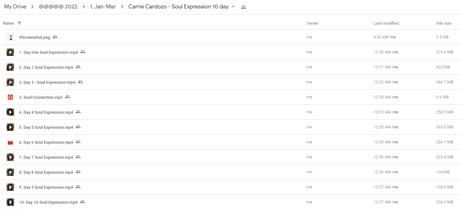 Carrie Cardozo - Soul Expression 10 day